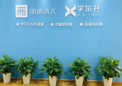 江西明德清大教育咨詢集團(tuán)